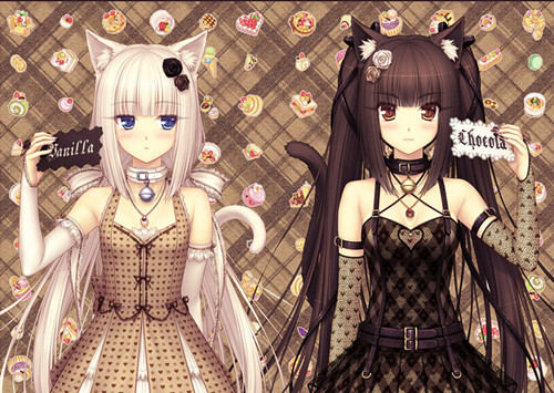 猫猫<em>姐妹</em>~~美<em>图库</em>_百田圈圈_百田网