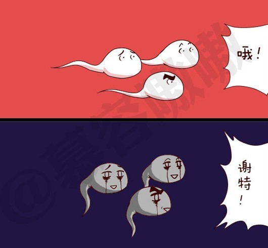 【苏倾】邪恶小漫画(其实这是内涵图)表示看懂