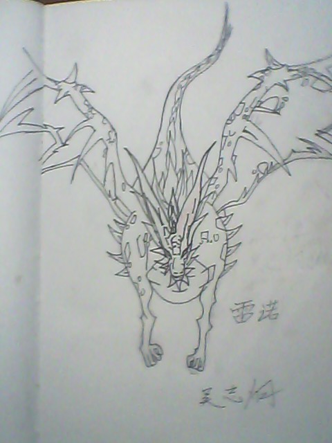 手绘龙斗士下一次年费宠物