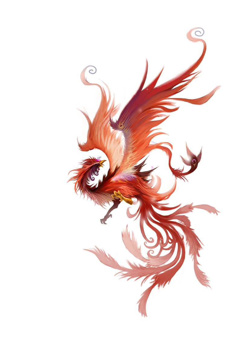 浴火凤凰华丽职业装; 《龙》新版本原画曝光:浴火凤凰华丽职业装; 浴