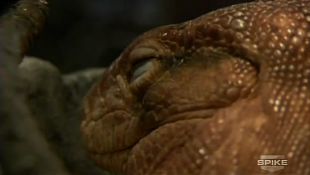 「转」图解一千种死法