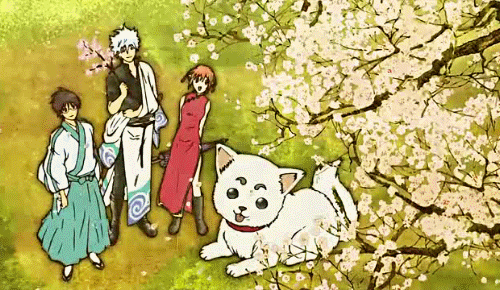 银乐〗银魂签名档大派送,加问答这是在什么时候的!