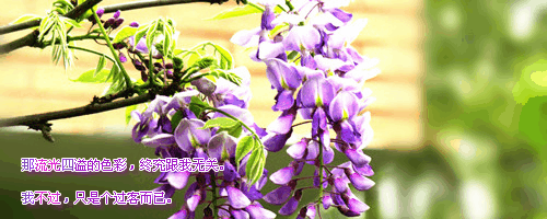 【小痕】测测你的古代<em>贵族名字</em>+地位,特好听!