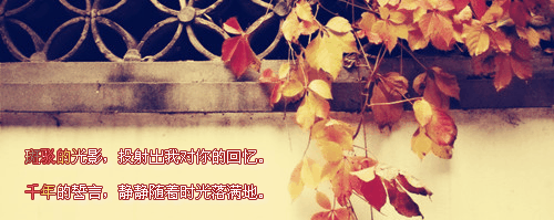 【倾舞】帮做流光字签名档