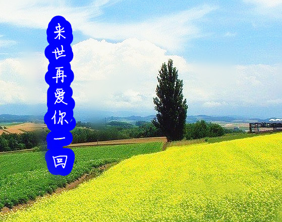 【梦梦原创】来世再爱你一回