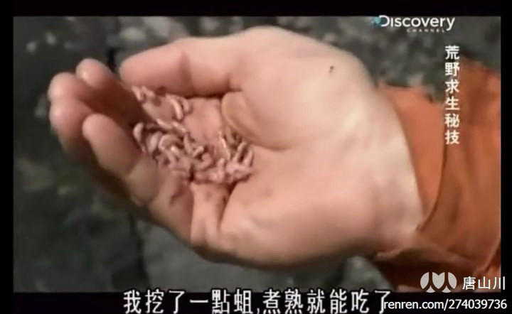 地点:海岸食物:蛆虫目测是厕所里的内种