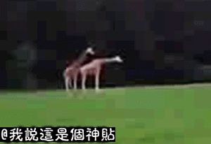 【小寒】笑死你不偿命(见之必来!
