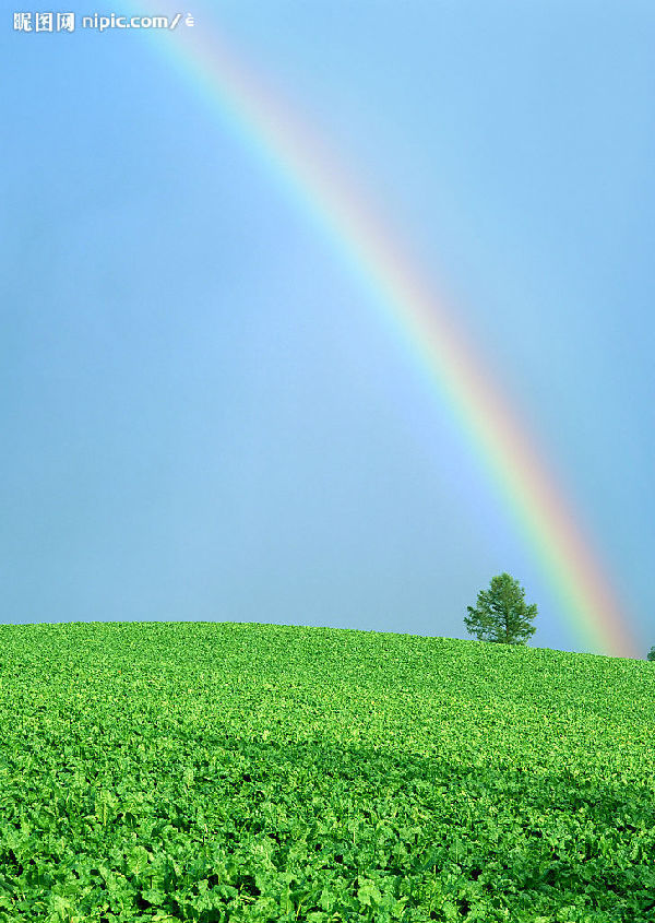彩虹是太阳光穿透雨的颗粒时形成的。原本光是笔直行进的,但它也具有一旦进入水中就会折射的性质。因此太阳光在通过雨的颗粒时就会折射。此时,由于光折射的角度因颜色而各异,所以七种颜色会以各自不同的角度折射。所以七种颜色会很漂亮地排列起来。这就是形成彩虹的原理。因为彩虹呈现于与太阳方向相反的天空,所以想在雨后看彩虹时要背对着太阳。