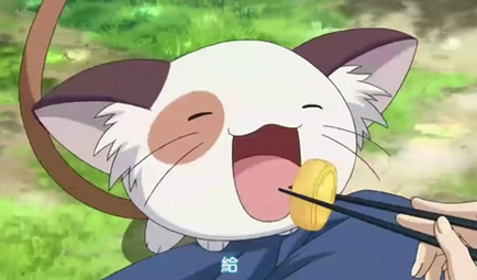 【萌宠选举a组投票】战争开始啦!